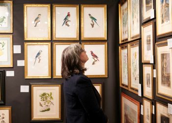 How to Build a Rare Collectibles Portfolio: The Ultimate Guide for Beginners!