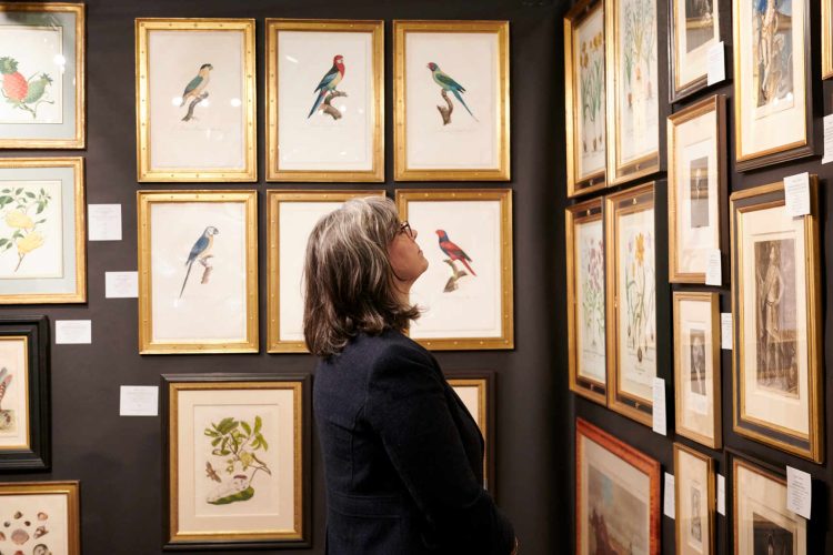 How to Build a Rare Collectibles Portfolio: The Ultimate Guide for Beginners!