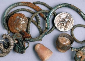 How Do Collectors Discover Hidden Treasures? The Stories Behind Their Finds!