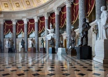 How to Spot a Bargain at Auctions: The Insider’s Guide to Hidden Gems!