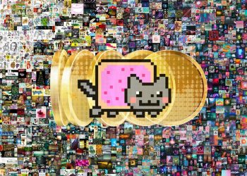 What’s the Latest Buzz Among Collectors? Trends You Can’t Ignore!