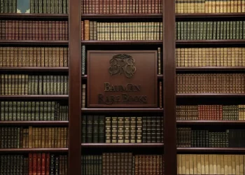 What Collectors Should Know About Handling and Preserving Rare Items