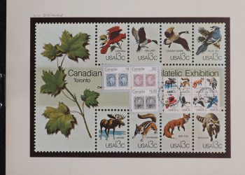 How to Spot a Fake Collectible: Expert Tips on Authentication