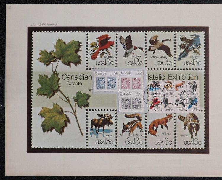 How to Spot a Fake Collectible: Expert Tips on Authentication