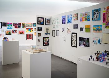 Guide to Building Your Own Collection from Exhibition Insights