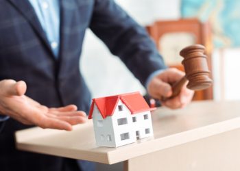 Why Did This $10 Toy Sell for $1 Million? The Auction Fluke That Defied Market Logic