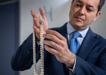 The Forbidden Collector’s Guide: What Auction Houses Won’t Teach You