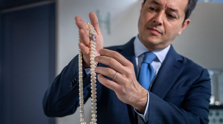 The Forbidden Collector’s Guide: What Auction Houses Won’t Teach You