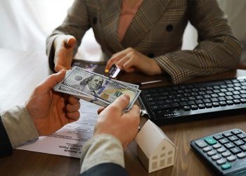 Which Collectible Categories Are Attracting the Most Investment Attention This Year? Have You Picked the Right Direction?