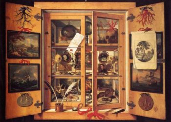 Behind the Wild Price Swings: Bubble or Opportunity? What Is Brewing in the Collectibles Market?