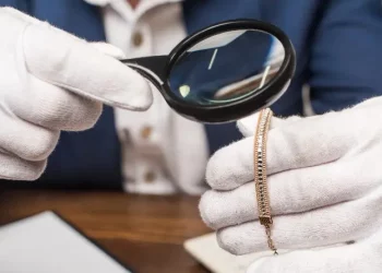 What Details You Must Pay Attention to When Purchasing Rare Collectibles